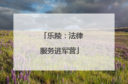 乐陵：法律服务进军营