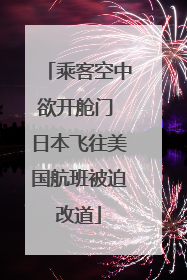 乘客空中欲开舱门 日本飞往美国航班被迫改道