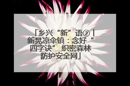 乡兴“新”语②丨新晃凉伞镇：念好“四字诀” 织密森林防护安全网