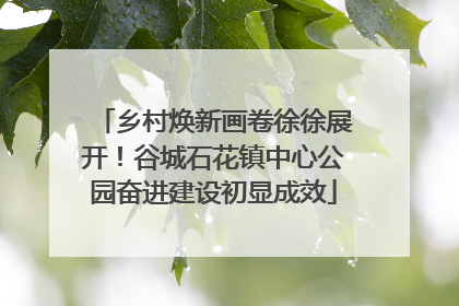 乡村焕新画卷徐徐展开！谷城石花镇中心公园奋进建设初显成效