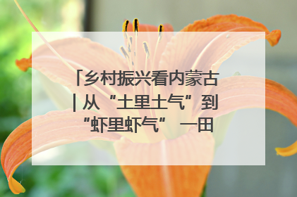 乡村振兴看内蒙古｜从“土里土气”到“虾里虾气” 一田双收模式火出圈