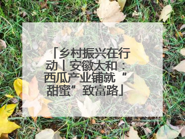 乡村振兴在行动丨安徽太和：西瓜产业铺就“甜蜜”致富路
