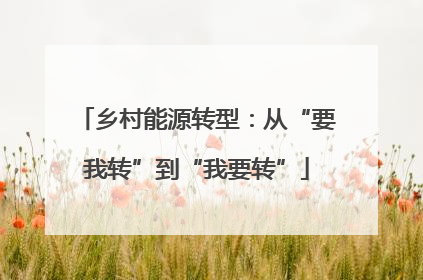 乡村能源转型：从“要我转”到“我要转”