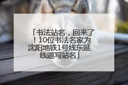 书法站名，回来了！10位书法名家为沈阳地铁1号线东延线题写站名