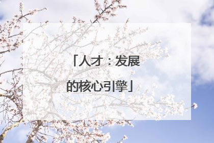 人才：发展的核心引擎