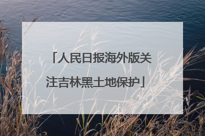 人民日报海外版关注吉林黑土地保护