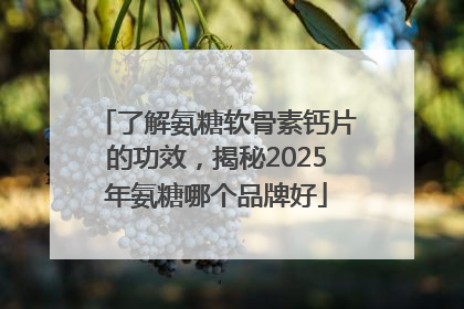 了解氨糖软骨素钙片的功效，揭秘2025年氨糖哪个品牌好