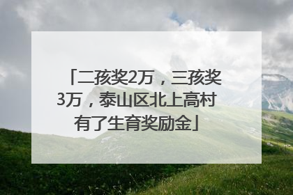 二孩奖2万，三孩奖3万，泰山区北上高村有了生育奖励金