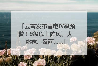 云南发布雷电Ⅳ级预警！9级以上阵风、大冰雹、暴雨……