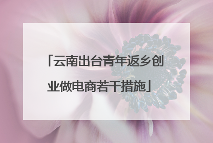 云南出台青年返乡创业做电商若干措施