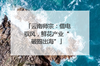 云南师宗：借电驭风，鲜花产业“破圈出海”