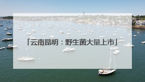 云南昆明：野生菌大量上市