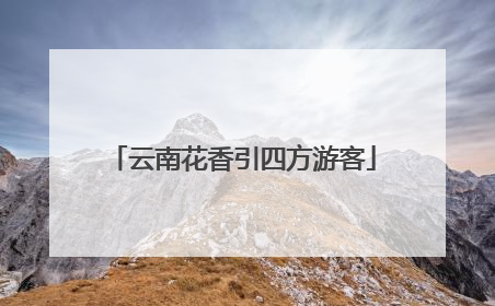 云南花香引四方游客