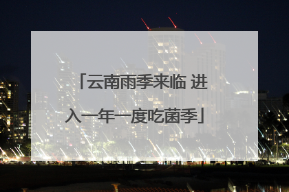 云南雨季来临 进入一年一度吃菌季