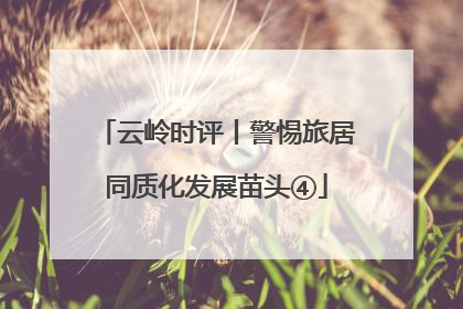 云岭时评丨警惕旅居同质化发展苗头④