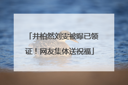 井柏然刘雯被曝已领证！网友集体送祝福
