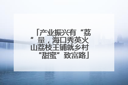 产业振兴有“荔”量，海口秀英火山荔枝王铺就乡村“甜蜜”致富路