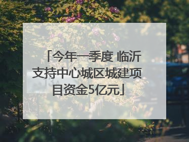 今年一季度 临沂支持中心城区城建项目资金5亿元