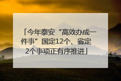 今年泰安“高效办成一件事”国定12个、省定2个事项正有序推进