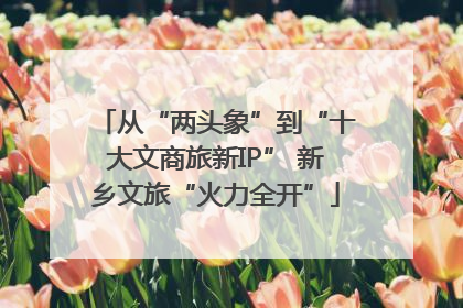 从“两头象”到“十大文商旅新IP” 新乡文旅“火力全开”