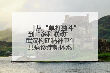 从“单打独斗”到“多科联动” 武汉构建精神卫生共病诊疗新体系