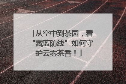从空中到茶园，看“藏蓝防线”如何守护云雾茶香！