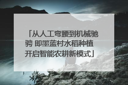 从人工弯腰到机械驰骋 即墨蓝村水稻种植开启智能农耕新模式