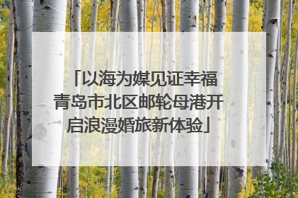 以海为媒见证幸福 青岛市北区邮轮母港开启浪漫婚旅新体验