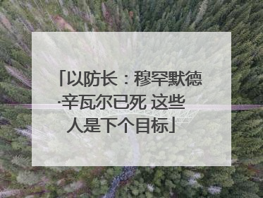 以防长：穆罕默德·辛瓦尔已死 这些人是下个目标