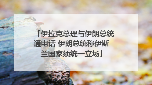 伊拉克总理与伊朗总统通电话 伊朗总统称伊斯兰国家须统一立场