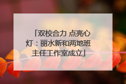 双校合力 点亮心灯：丽水新和两地班主任工作室成立