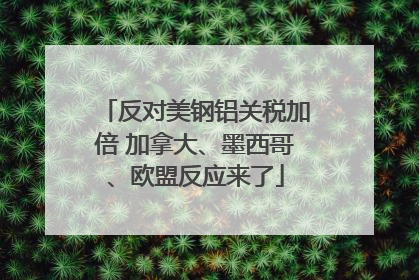 反对美钢铝关税加倍 加拿大、墨西哥、欧盟反应来了