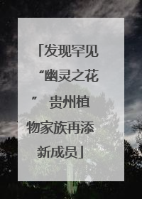 发现罕见“幽灵之花” 贵州植物家族再添新成员