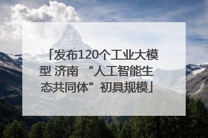 发布120个工业大模型 济南 “人工智能生态共同体”初具规模