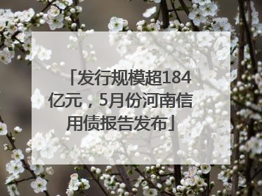 发行规模超184亿元，5月份河南信用债报告发布
