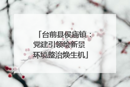 台前县侯庙镇：党建引领绘新景 环境整治焕生机