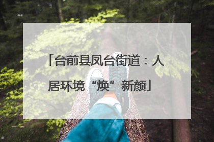 台前县凤台街道：人居环境“焕”新颜