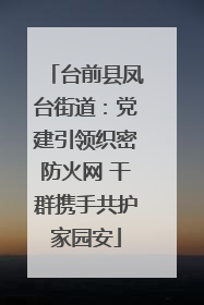 台前县凤台街道：党建引领织密防火网 干群携手共护家园安