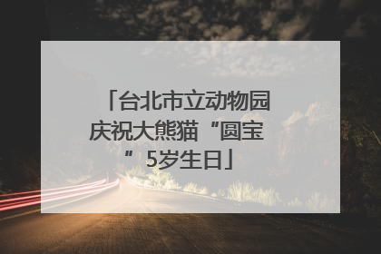 台北市立动物园庆祝大熊猫“圆宝”5岁生日