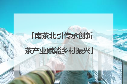 南茶北引传承创新 茶产业赋能乡村振兴