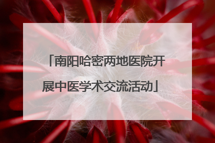 南阳哈密两地医院开展中医学术交流活动
