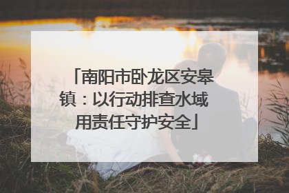 南阳市卧龙区安皋镇：以行动排查水域 用责任守护安全
