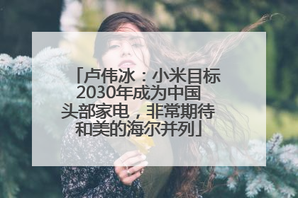 卢伟冰：小米目标2030年成为中国头部家电，非常期待和美的海尔并列