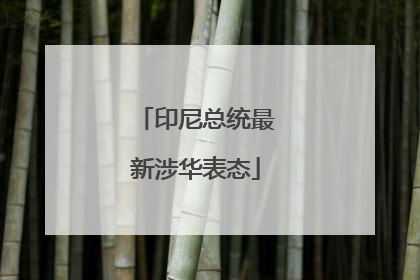 印尼总统最新涉华表态