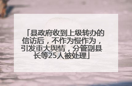 县政府收到上级转办的信访后，不作为慢作为，引发重大舆情，分管副县长等25人被处理