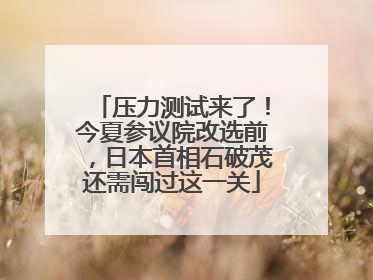 压力测试来了！今夏参议院改选前，日本首相石破茂还需闯过这一关