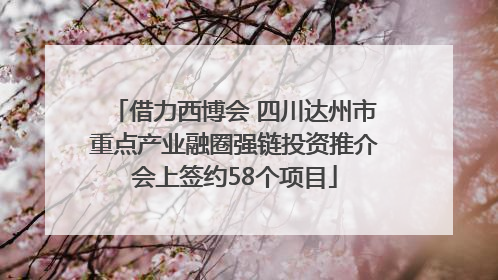 借力西博会 四川达州市重点产业融圈强链投资推介会上签约58个项目