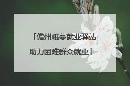 儋州峨蔓就业驿站助力困难群众就业