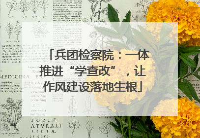 兵团检察院：一体推进“学查改”，让作风建设落地生根