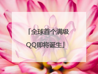全球首个满级QQ即将诞生